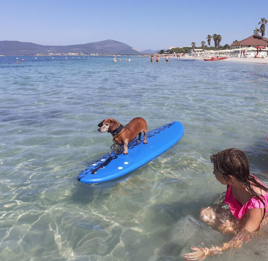 Alghero Lido Monolocale公寓 外观 照片